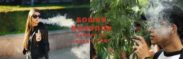 индика Михайловск
