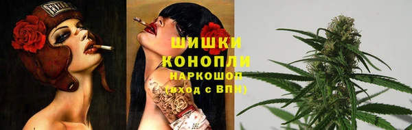 индика Михайловск