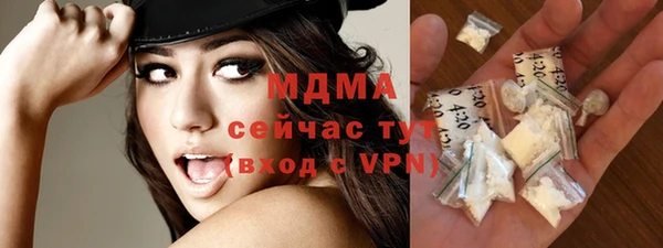 индика Михайловск