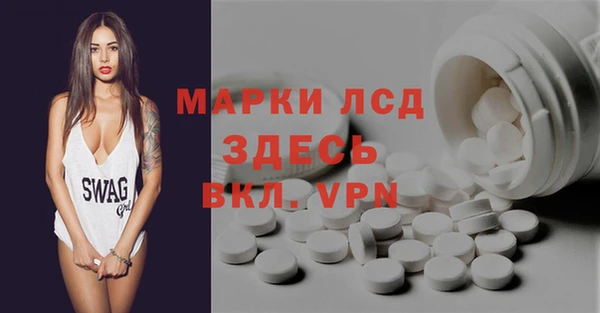индика Михайловск