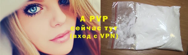 индика Михайловск