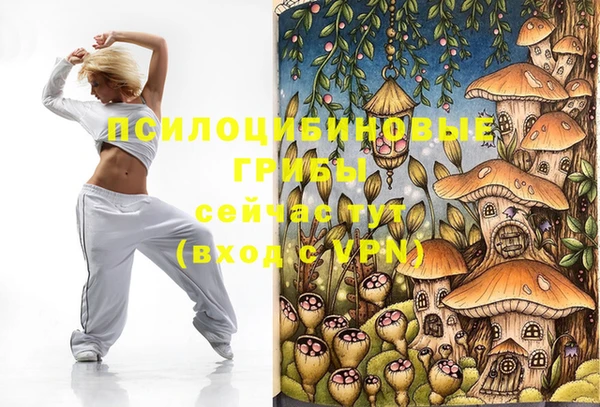хмурый Михайлов