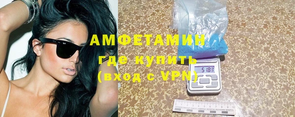 индика Михайловск