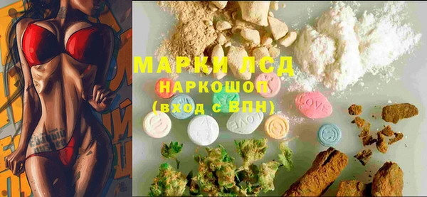 индика Михайловск