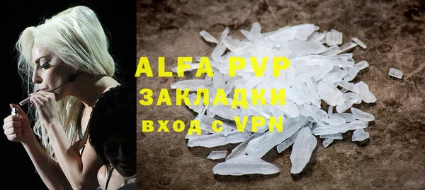 индика Михайловск