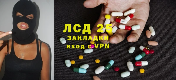 индика Михайловск