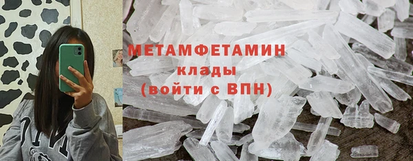 индика Михайловск