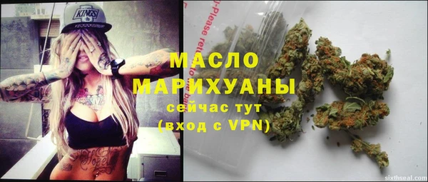 индика Михайловск