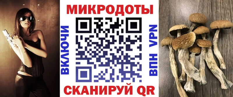 сколько стоит  Новомосковск  ОМГ ОМГ маркетплейс  Псилоцибиновые грибы мухоморы 
