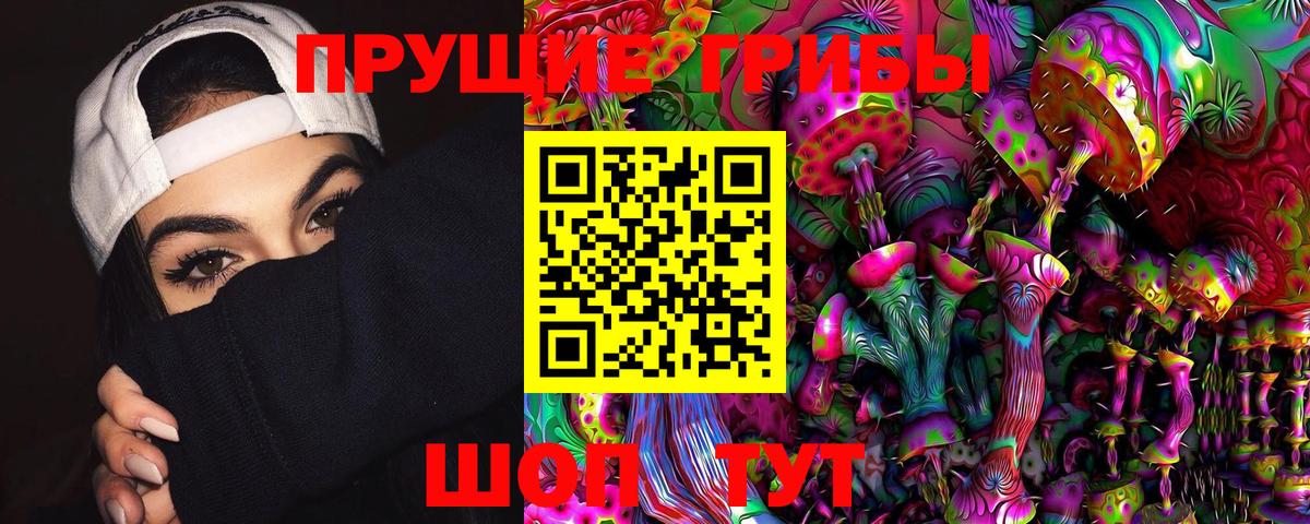 Псилоцибиновые грибы Psilocybine cubensis Новомосковск