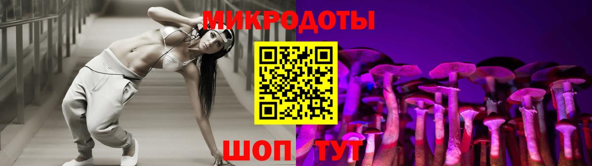 Галлюциногенные грибы Psilocybe Новомосковск